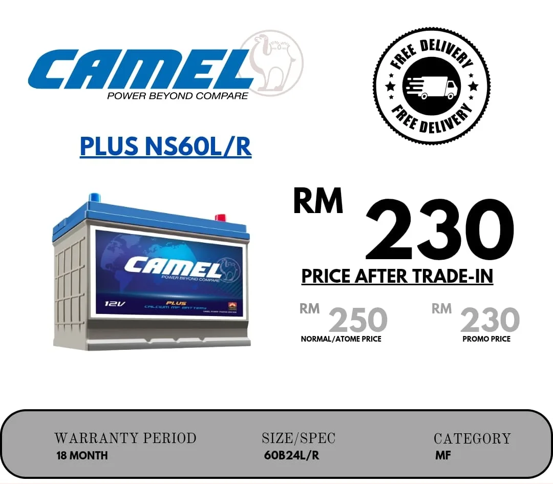 camel_plus_ns60lr